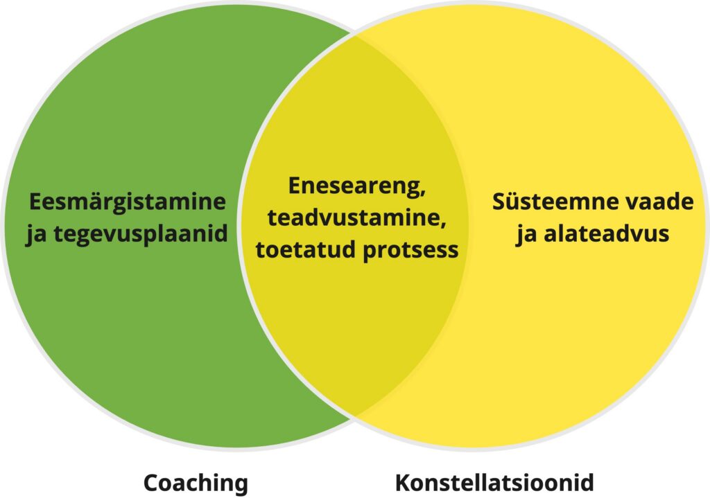 coaching with systemic constellation 2 VENNI diagram